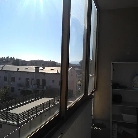 Rovere Pisa